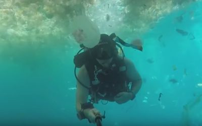 Imagini tulburatoare filmate intr-un paradis turistic. Ce-a vazut acest scafandru