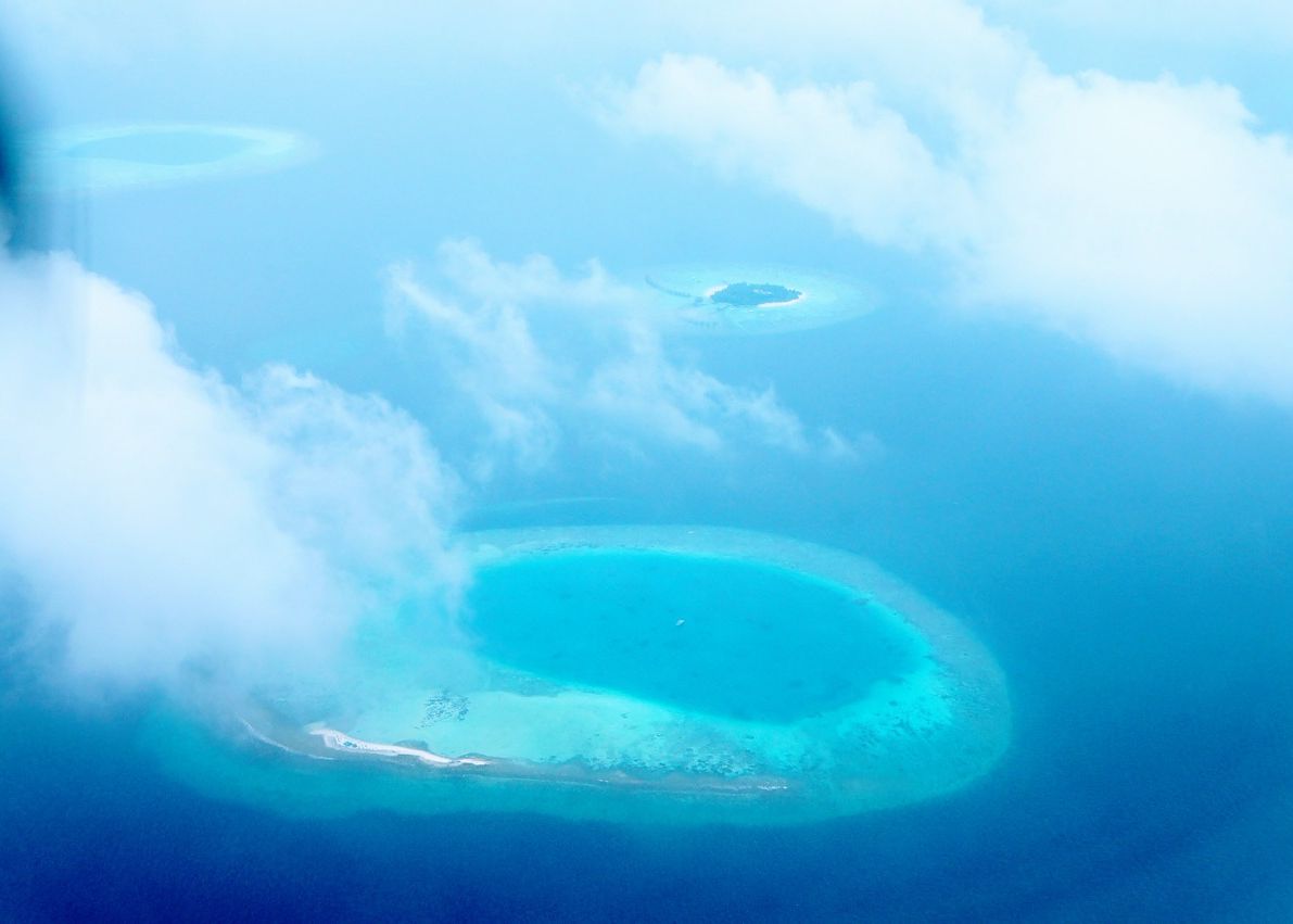 Un Mare Mister Al Istoriei Rezolvat Dupa 8 Decenii Ce Au Descoperit