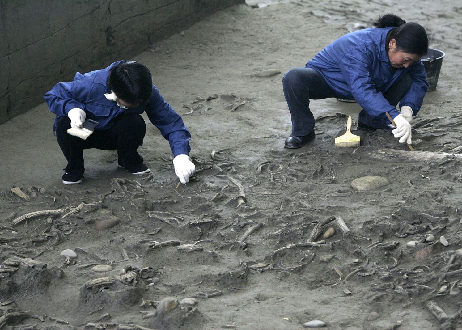 Obiceiul Ciudat Practicat Acum 4 500 De Ani Ce Au Descoperit Arheologii In Aceasta Necropola