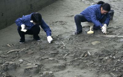 Obiceiul inexplicabil practicat acum 4.500 de ani. Ce au descoperit arheologii in acest mormant