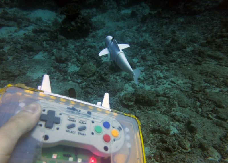 O Romanca A Inventat Robotul Sofi Care Poate Inota Alaturi De Pesti Fara Sa Fie Observat