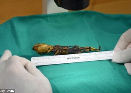 Misterul Scheletului Cu Aspect Extraterestru A Fost Elucidat Ce Arata Analiza Adn