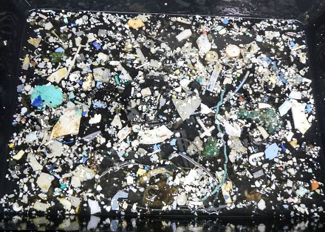 Marea Zona De Gunoi Din Pacific Contine Peste 79 000 De Tone De Plastic Iar Zona Poluata Se Extinde Rapid
