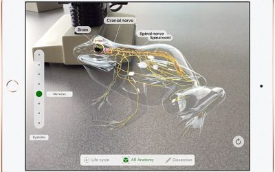 Apple a prezentat cel mai ieftin iPad! Este compatibil cu Apple Pencil, iar bateria tine 10 ore