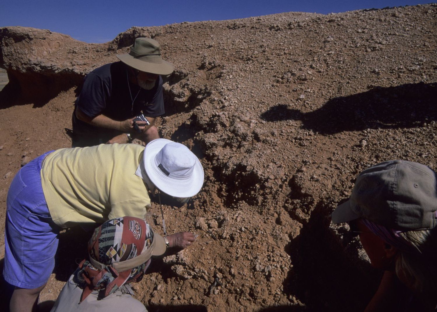 Descoperire Uriasa In Transilvania Este Cea Mai Mare Fosila De Acest Fel Din Lume