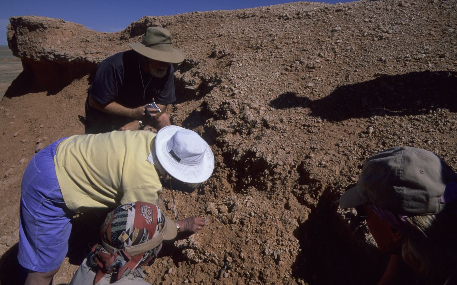 Descoperire Uriasa In Transilvania Este Cea Mai Mare Fosila De Acest Fel Din Lume