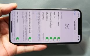 Cat de mare va fi iPhone X Plus? Informatii despre cel mai mare model de iPhone de pana acum