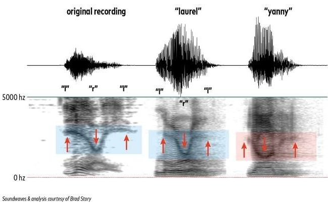 Yanny sau Laurel? Cine a facut controversata inregistrare si ce cuvant rosteste Yanny Sau Laurel Cine A Facut Controversata Inregistrare Si Ce Cuvant Rosteste