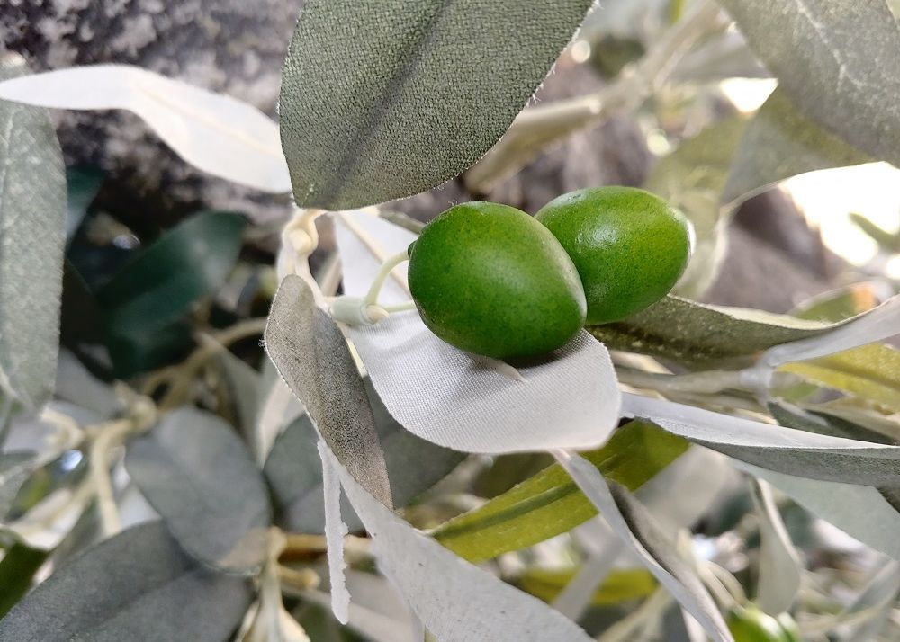 Am Testat Noul Lg G7 Thinq Cat De Bune Sunt Pozele Pe Care Le Face Telefonul Cu Inteligenta Artificiala 6