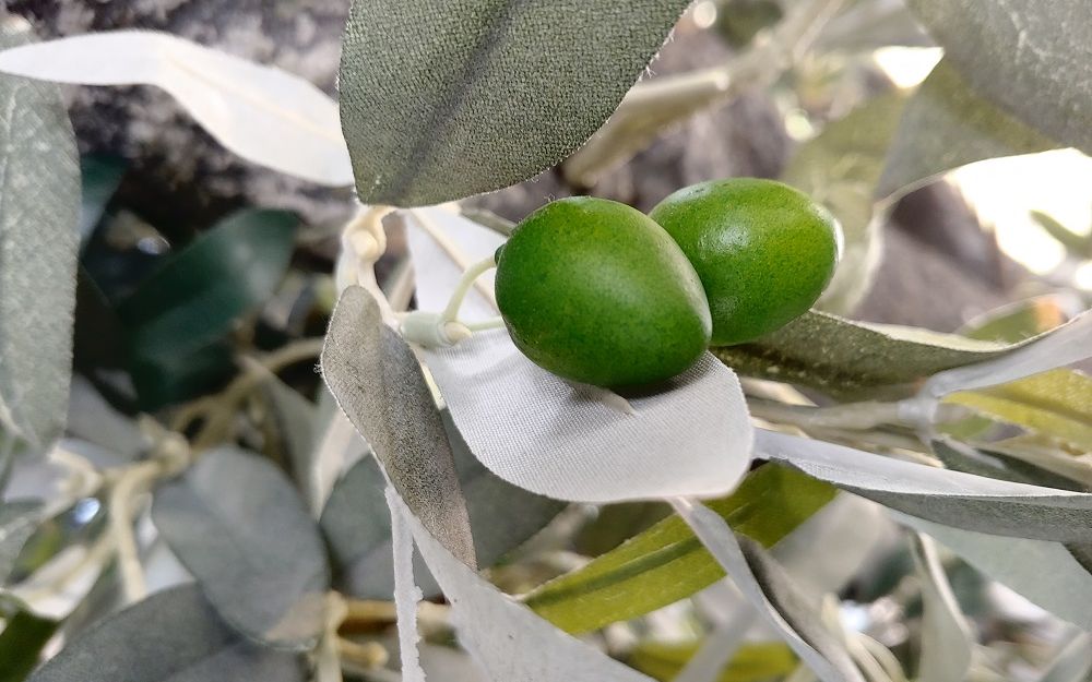 Am testat noul LG G7 ThinQ. Cat de bune sunt pozele pe care le face telefonul cu Inteligenta Artificiala? Am Testat Noul Lg G7 Thinq Cat De Bune Sunt Pozele Pe Care Le Face Telefonul Cu Inteligenta Artificiala 6