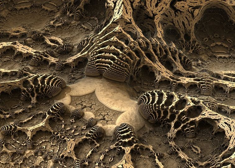 Paleontologii Au Descoperit O Fosila Ciudata De Acum Jumatate De Miliard De Ani