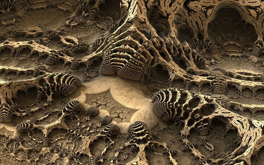Paleontologii au descoperit o fosila ciudata, de acum jumatate de miliard de ani Paleontologii Au Descoperit O Fosila Ciudata De Acum Jumatate De Miliard De Ani