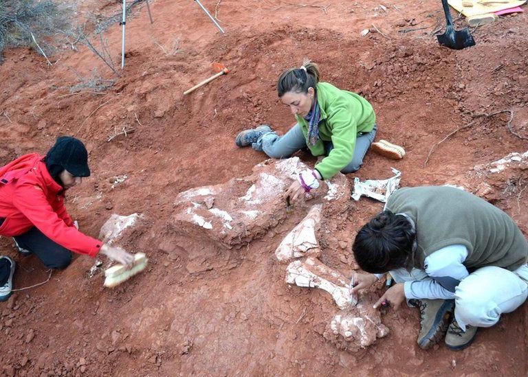 Fosilele primului dinozaur de dimensiuni gigantice, descoperite în Argentina. Cum arăta  Fosilele Primului Dinozaur De Dimensiuni Gigantice Descoperite In Argentina Cum Arata