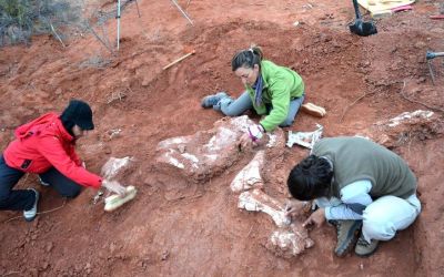 Fosilele primului dinozaur de dimensiuni gigantice, descoperite în Argentina. Cum arăta 