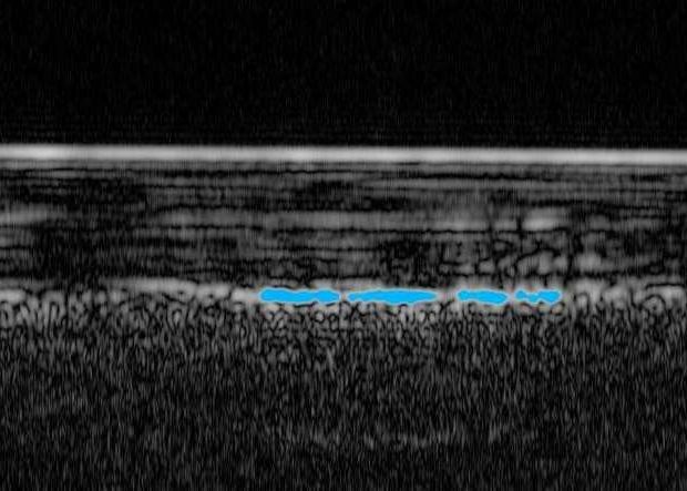 Descoperire Uriasa Pe Marte E Dovada Clara Ca Aici Poate Exista Viata