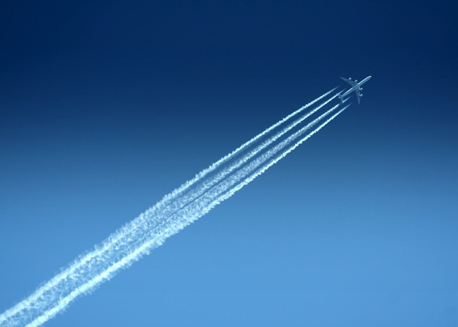 Facebook A Introuds Azi O Noua Reactie Despre Ce E Vorba Si Cat Timp Va Fi Disponibila