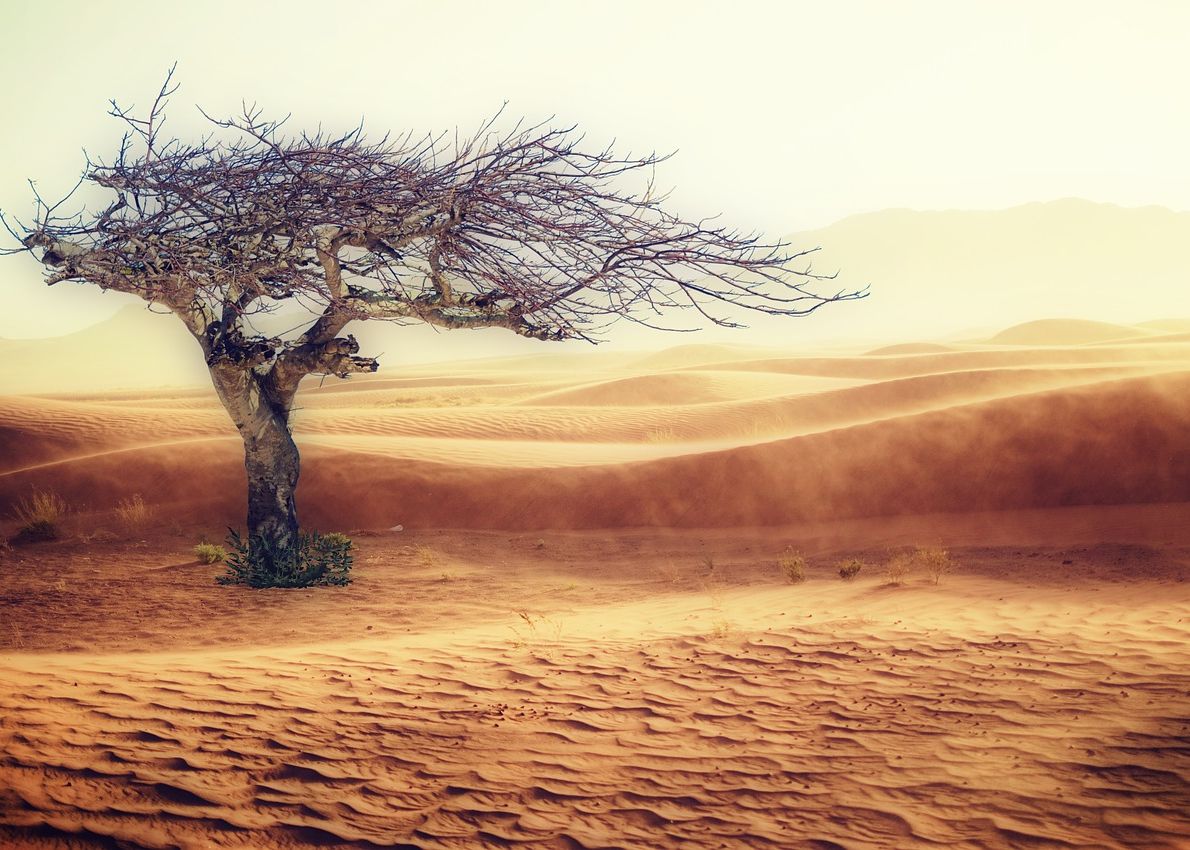 Avertismentul Cercetatorilor Vremea Se Va Schimba Radical In Urmatorii Ani Cat De Cald O Sa Fie