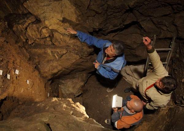 Descoperire Emotionanta Intr O Grota Din Siberia Este Dovada Imperecherii Intre Doua Specii Diferite De