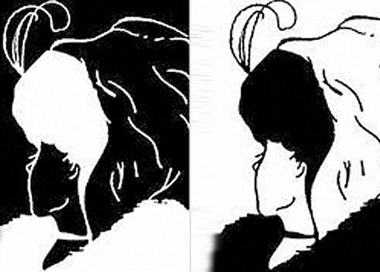 Iluzie Optica Uimitoare Imaginea Pe Care O Vezi Diferit In Functie De Varsta Pe Care O Ai