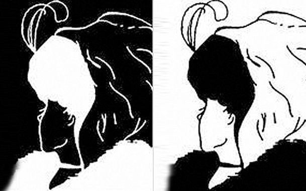 Iluzie Optica Uimitoare Imaginea Pe Care O Vezi Diferit In Functie De Varsta Pe Care O Ai