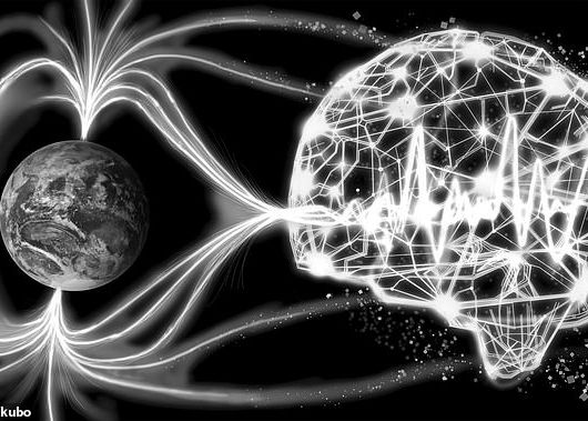 Inteligența Artificială poate prezice cutremurele. Cum va reuși o rețea neurală să salveze vieți Inteligenta Artificiala Poate Prezice Cutremurele Cum Poate O Retea Neurala Sa Salveze Vieti