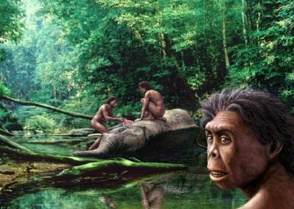 De ce au dispărut Hobiții? Misterul extincției unei specii umane De Ce Au Disparut Hobitii Misterul Extinctiei Unei Specii Umane