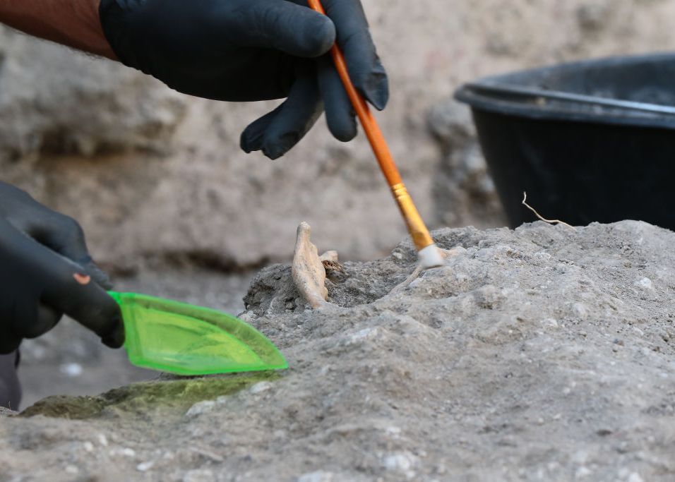 Arheologii Au Descoperit Doua Schelete Cu O Vechime De Peste 3 000 De Ani