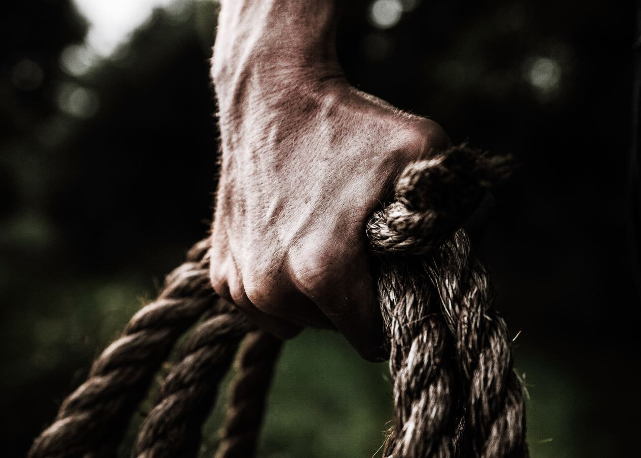 Cum Arata Super Omul E Cea Mai Puternica Inteligenta Si Rapida Fiinta De Pe Pamant Si A Fost Facuta Pe