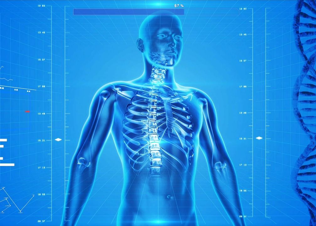 Descoperire surprinzătoare despre corpul uman. Pentru prima dată, cercetătorii au observat acest detaliu Descoperire Surprinzatoare Despre Corpul Uman Pentru Prima Data Cercetatorii Au Observat Acest Detaliu