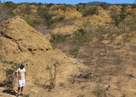 Descoperire extraordinară. Construcția ridicată în 4000 de ani are dimensiunea Marii Britanii Descoperirea Extraordinara A Oamenilor De Stiinta Constructia Ridicata In 4000 De Ani De Dimensiunea Marii