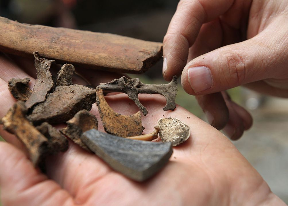 Descoperirea care poate rescrie istoria speciei umane Descoperirea Care Poate Rescrie Istoria Speciei Umane