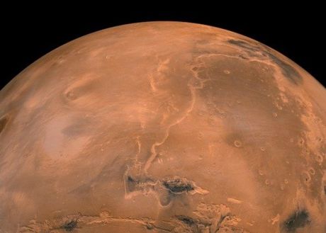 Descoperire Extraordinara Ce S A Intamplat Cu Legumele Plantate De Oamenii De Stiinta In Solul De Pe Marte