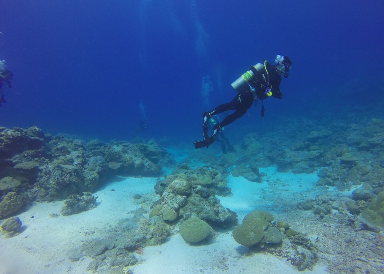 Efectul nebănuit al valului tsunami care a lovit Japonia în 2011. Ce-au descoperit scafandrii Efectul Nebanuit Al Valului Tsunami Care A Lovit Japonia In 2011 Ce Au Descoperit Scafandrii