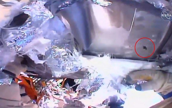 Concluzie surprinzătoare despre fisura din peretele Stației Spațiale Internaționale Concluzie Surprinzatoare Gaura Din Peretele Statiei Spatiale A Fost Facuta Din Interior