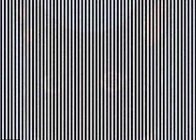 Poti Observa Animalul Ascuns In Imagine Iluzie Optica Surprinzatoare