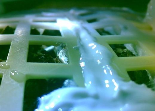 Reusita Incredibila A Cercetatorilor Chinezi Au Obtinut Primele Seminte Incoltite Pe Luna