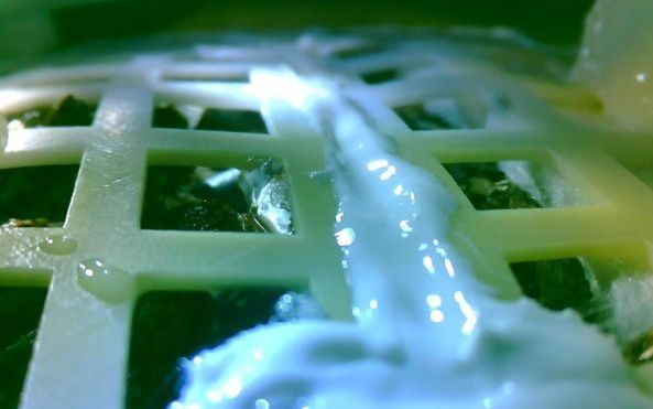 Reusita Incredibila A Cercetatorilor Chinezi Au Obtinut Primele Seminte Incoltite Pe Luna