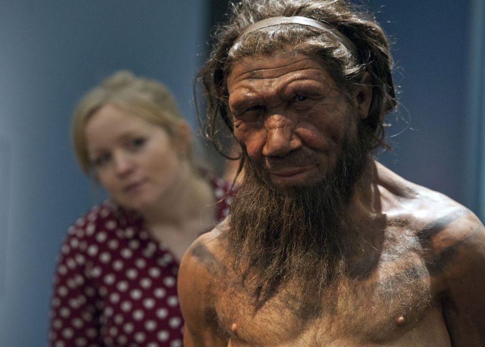 O specie necunoscută de oameni preistorici, identificată cu ajutorul Inteligenței Artificiale O Specie Necunoscuta De Oameni Preistorici Identificata Cu Ajutorul Inteligentei Artificiale