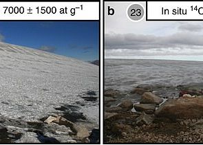 Topirea Ghetii De La Polul Nord A Scos La Lumina Forme De Viata Ingropate De 40 000 De Ani