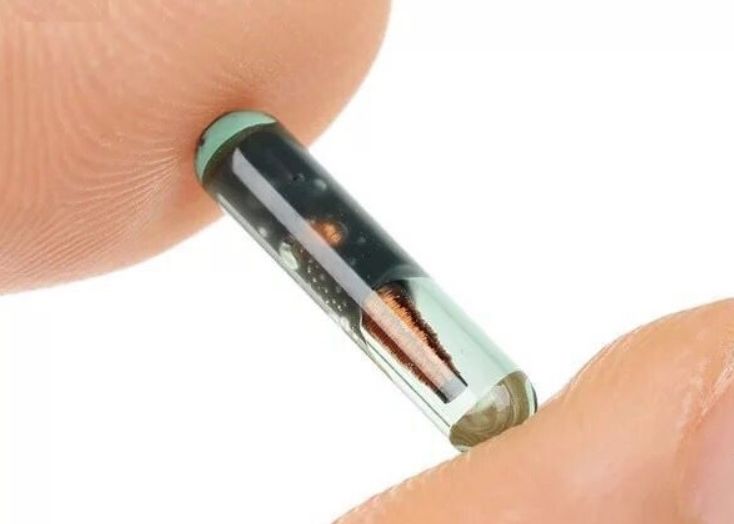 Un Barbat Si A Inserat Un Microcip Sub Piele In Direct La Mwc 2019