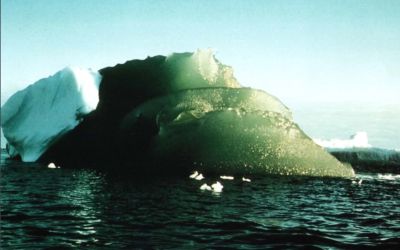 Misterul ghețarilor verzi din Antarctica. Fenomenul care i-a uimit pe cercetători