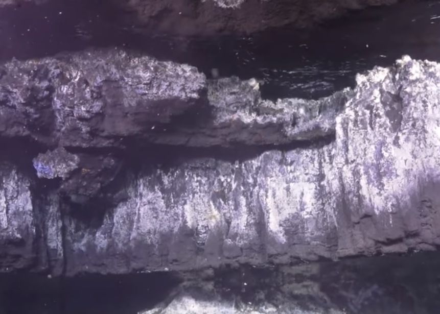 Iluzia Optica Extraordinara Descoperita De Cercetatori Pe Fundul Oceanului La Peste 1800 De Metri Adancime