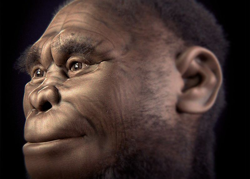 O Noua Specie Umana Descoperita In Filipine Caracteristicile Care I Au Uimit Pe Cercetatori