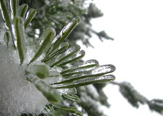 Bacterii Vechi De Milioane De Ani Au Inceput Sa Se Trezeasca La Viata Ce Spun Oamenii De Stiinta