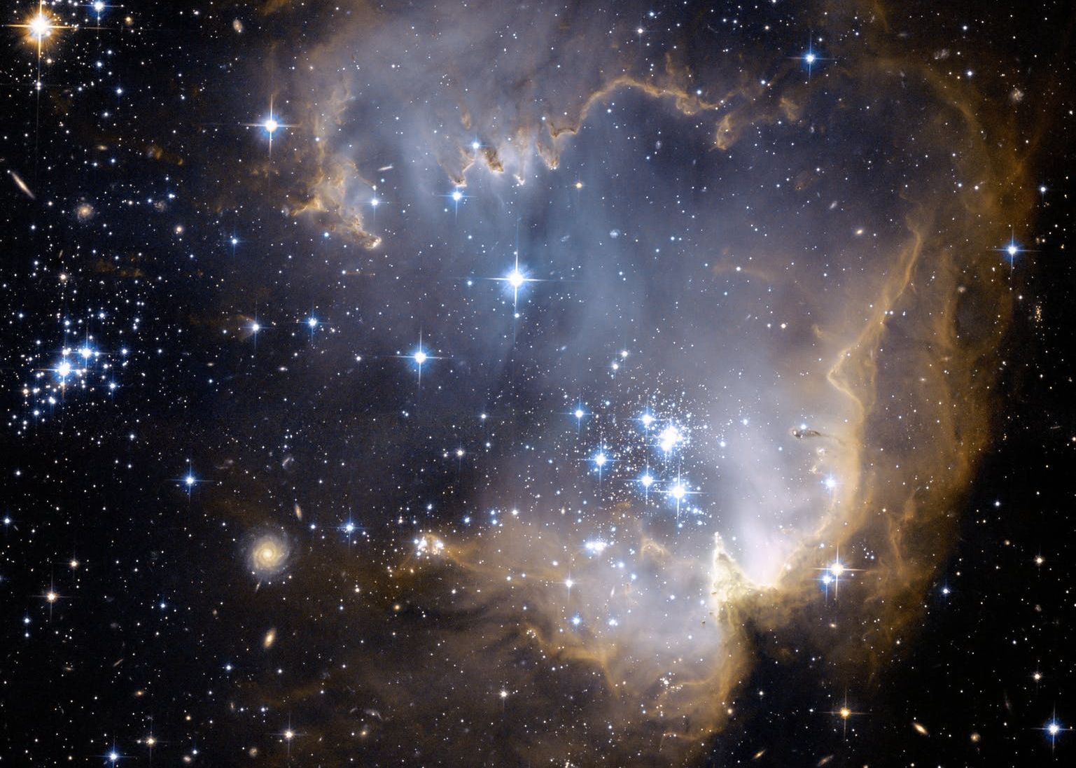 NASA se pregăteşte să trimită organisme vii în spaţiul cosmic Nasa Se Pregateste Sa Trimita Organisme Vii In Spatiul Cosmic