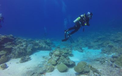 Descoperire surprinzătoare în Groapa Marianelor. Ce ascunde cel mai adânc loc de pe planetă VIDEO