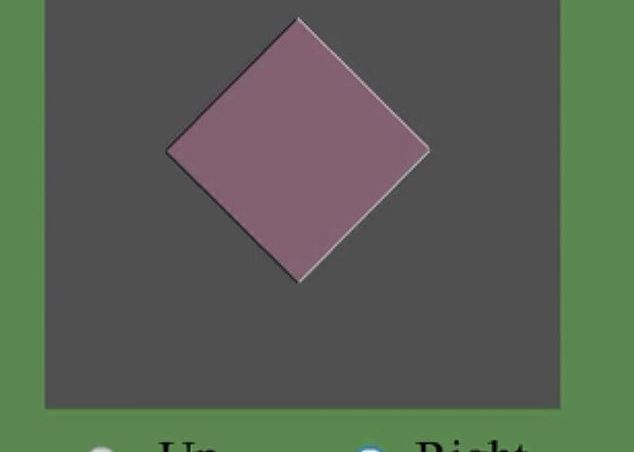 Iluzie Optica Incredibila Conceputa De Oamenii De Stiinta In Ce Directie De Deplaseaza Rombul