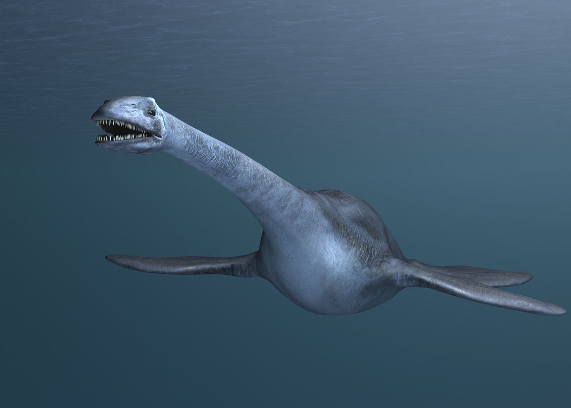 Adevaratul Monstru Din Loch Ness O Creatura Uriasa Traia In Apele Din Antarctica