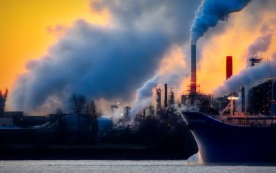 Temperaturi record înregistrate în iunie 2019. Care este efectul încălzirii globale