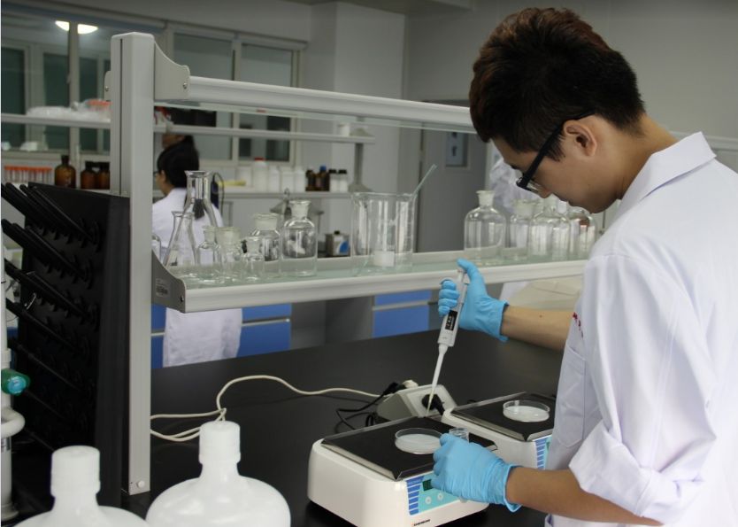 A Fost Aprobat Cel Mai Controversat Experiment Din Lume Cand Se Va Naste Embrionul Hibrid Om Animal